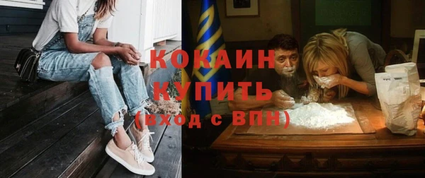 дурь Новодвинск