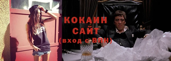 СК Алзамай