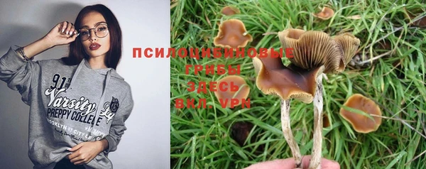 СК Алзамай