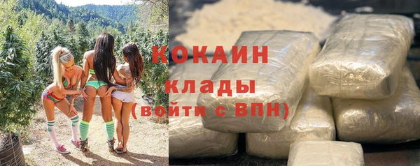 СК Алзамай