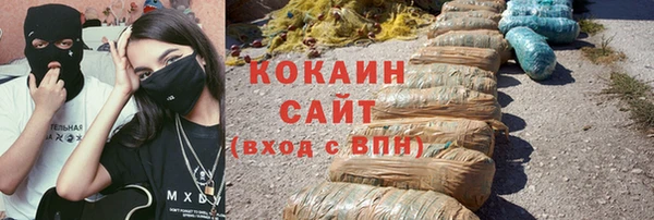 соль ск Алексин