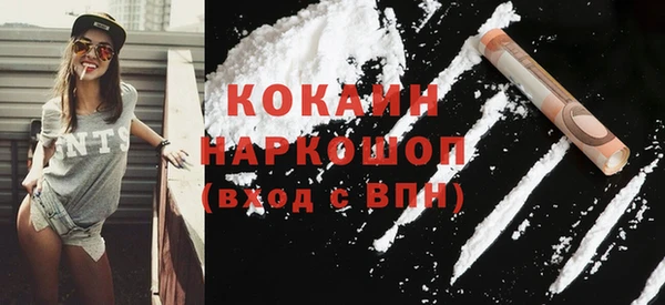 соль ск Алексин